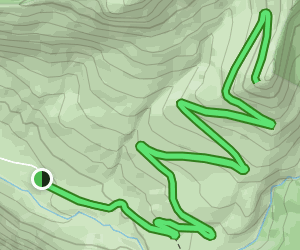 Forest Service Road 38 Trail 5 - V1 Trail Us Washington Forest Service Road 38 Trail At Map 19019861 1645021334 300w250h En US I 1 Style 3 
