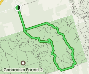 trail tours in ganaraska forest