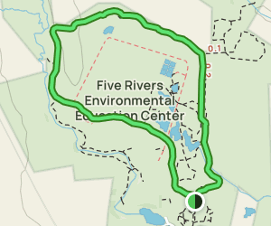 Five Rivers Environmental Education Center Loop Trail: 379 Reviews, Map ...