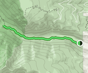 Bear Creek Trail: 332 Reviews, Map - Montana | AllTrails