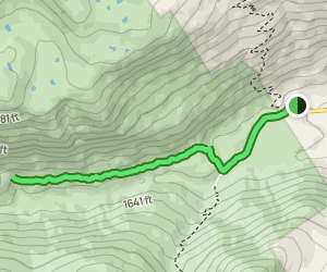 Upper Myra Falls Trail: 204 Reviews, Map - British Columbia, Canada ...