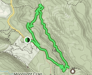 West Canungra Creek Circuit: Yerralahla Falls and Picnic Rock ...