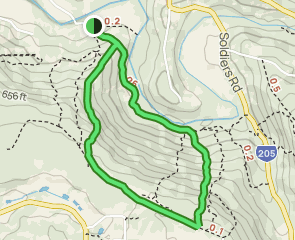 Churchman's Bushland Short Loop: 150 fotos - Australia Occidental ...