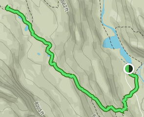 Iceline Summit, British Columbia, Canada - 684 Reviews, Map | AllTrails