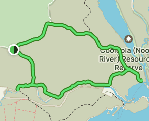 Fig Tree Point Campsite via Boronia Track Loop , Queensland, Australia ...