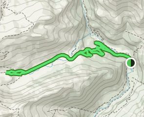 track Camino Valle de Bujaruelo - Río Otal