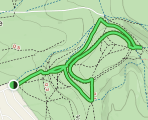 Cissbury Ring Circular, West Sussex, England - 43 Reviews, Map | AllTrails