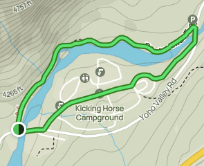 centennial-trail-via-kicking-horse-river-british-columbia-canada-71