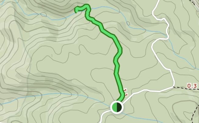 Araucaria Track, Queensland, Australia - 522 Reviews, Map