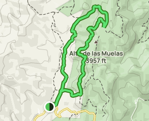 track Cañada Catena - Cerco del Tobazo - Barranco del Pinarón