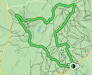 Haytor Circular, Devon, England - 211 Reviews, Map | AllTrails