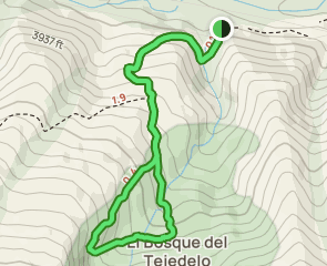 track Bosque El Tejedelo