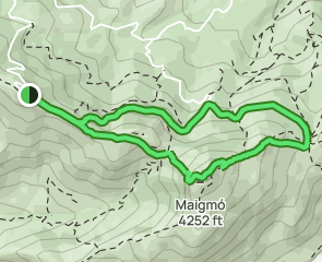 track Alt de les Xemeneles - Balcón de Alicante - Sierra de Maigmó