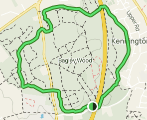 Bagley Wood Circular: 77 Reviews, Map - Oxfordshire, England | AllTrails