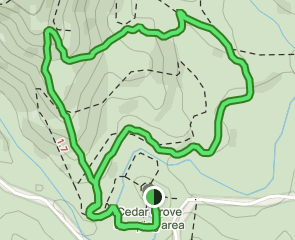 Cedar Grove Circuit, Queensland, Australia - 25 Reviews, Map | AllTrails