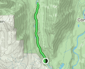 Cedars Mill Trail, British Columbia, Canada - 579 Reviews, Map | AllTrails