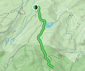 B-17 Crash Site Via Old Sawmill Trail: 278 Reviews, Map - Colorado 