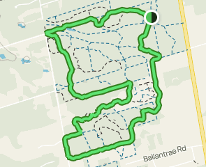 Eldred King and Hall Tract, Ontario, Canada - 322 Reviews, Map | AllTrails