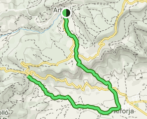 track Arbolí - Coll d'Alforja