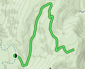 track Casa Forestal Nava del Espino - Navillas de la Cabeza - Raso del Madrigal