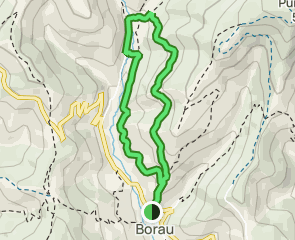 track Borau - Monasterio de San Adrián de Sasabe