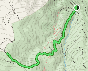 track Bosque Encantado - Alto de los Catifas