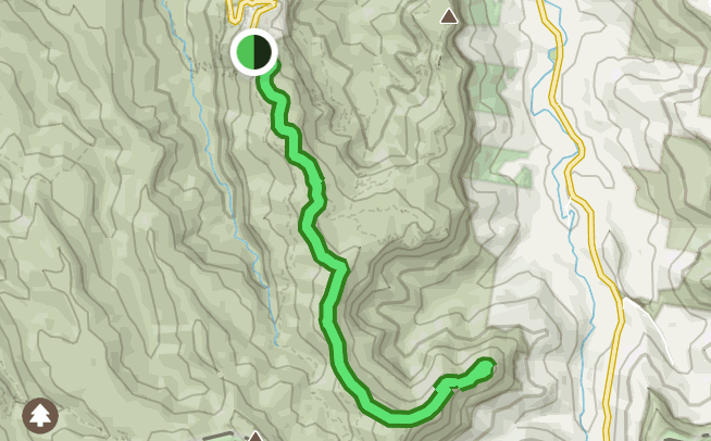 Araucaria Track, Queensland, Australia - 522 Reviews, Map