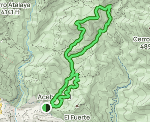 track Barranco del Mármol - Cerro Tres Cruces - Acebuchal