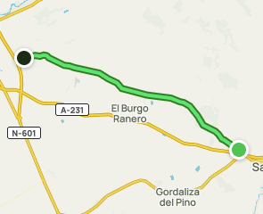 track Camino Francés: Calzada del Coto - Reliegos