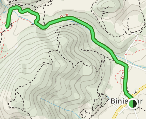 track Biniamar - Camí Llarg - Es Puig