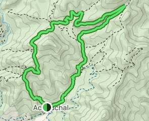 track Acebuchal - Puerto Blanquillo - El Pinar
