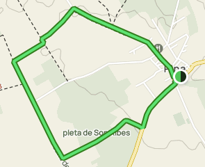 track Baixos de Pina - Pleta de Son Ribes