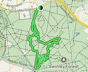 swinley forest blue trail