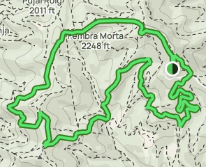 track Cami de  Roques Blanques - Fembra Morta