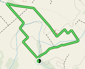 track Bosquet de Can Quaranta - Bosc de Son Regalat
