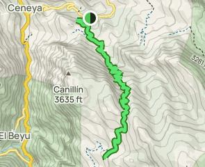 track Cantu Carbayal