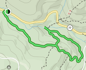 Cunningham Falls Upper Trail, Maryland - 264 Reviews, Map | AllTrails