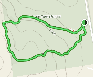 Alton Town Forest: 72 Reviews, Map - New Hampshire | AllTrails