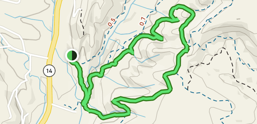 Milne, Wagon Road, Ridge and Arroyo Loop East: 149 Reviews, Map