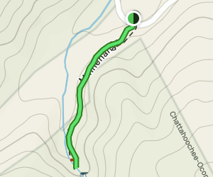 Minnehaha Falls Trail: 799 Reviews, Map - Georgia | AllTrails