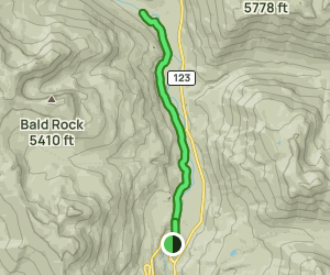 Mount Rainier Eastside Trail: 148 Reviews, Map - Washington 