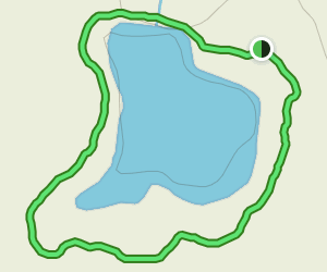 Little Cypress Pond Loop: 17 Reviews, Map - Louisiana | AllTrails