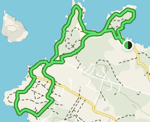 track Cala Bassa - Torre d'en Rovira - Cala Comte
