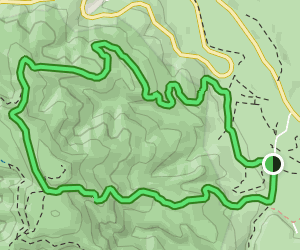 Bear Valley Morgan Loop: 108 Reviews, Map - California | AllTrails