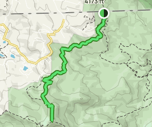 Rabun Bald via Bartram Trail: 443 Reviews, Map - Georgia | AllTrails