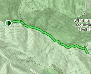 Opal Creek Trail [CLOSED], Oregon - 608 Reviews, Map | AllTrails