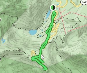 Upper Lodge to Artist Point Trail: 1.481 foto's - Washington | AllTrails
