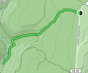 Fisher Spring Run Trail to Red Creek: 128 Reviews, Map - West Virginia ...