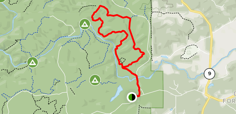 dawson forest mountain bike trail