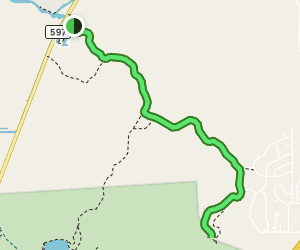 Weeki Wachee Preserve Trail via - V1 Trail Us Florida Weeki Wachee Preserve Trail Via Linda Pedersen Park At Map 22884950 1689170735 300w250h En US I 1 Style 3 